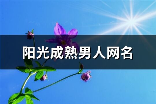 阳光成熟男人网名(优选119个)