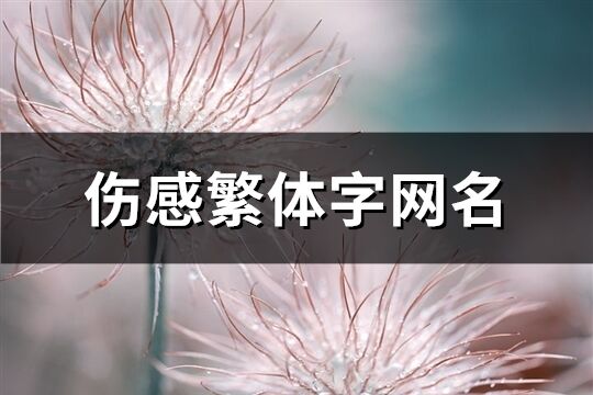 伤感繁体字网名(优选177个)