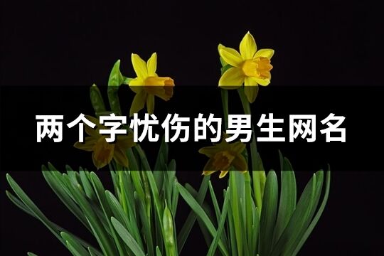 两个字忧伤的男生网名(优选150个)