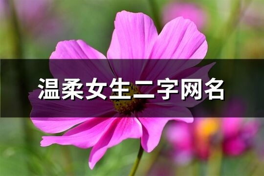 温柔女生二字网名(共129个)