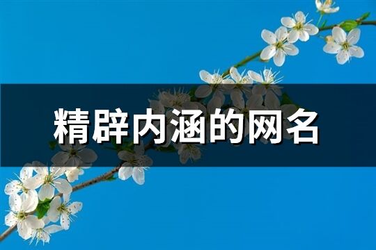 精辟内涵的网名(优选170个)