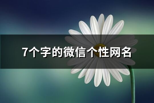 7个字的微信个性网名(优选181个)