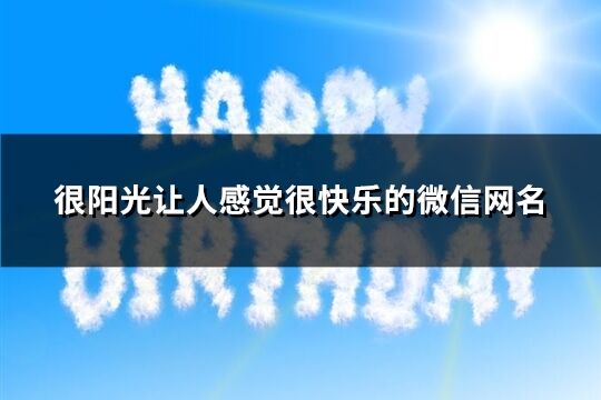 很阳光让人感觉很快乐的微信网名(共299个)