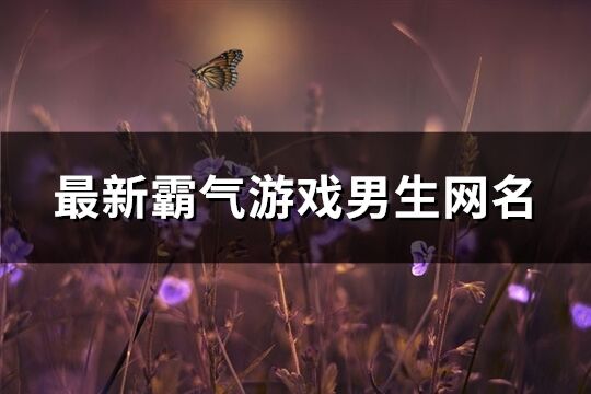 最新霸气游戏男生网名(共300个)