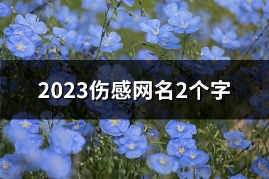 2023伤感网名2个字(共318个)