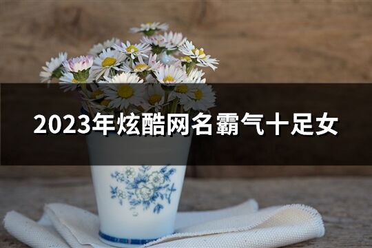 2023年炫酷网名霸气十足女(优选252个)