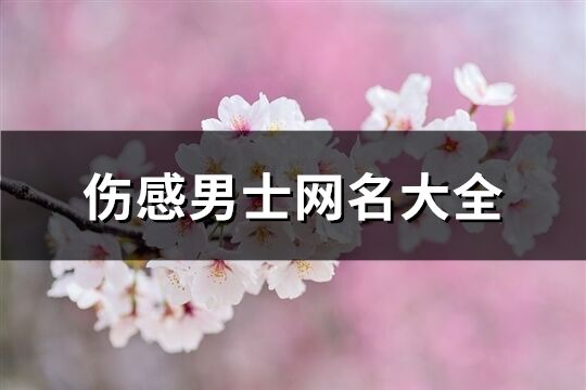 伤感男士网名大全(优选305个)