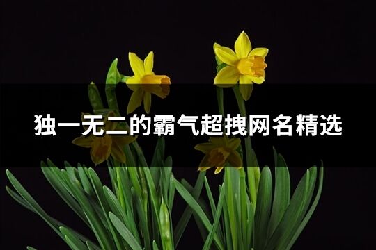 独一无二的霸气超拽网名精选(共111个)