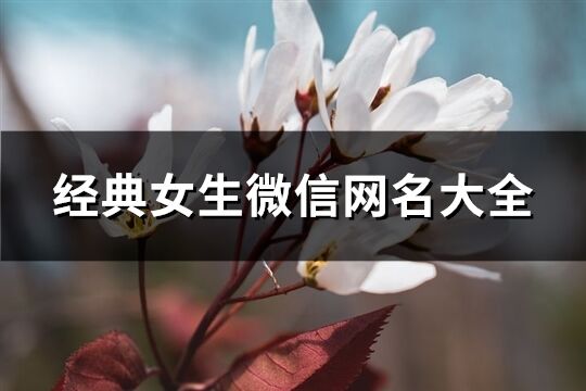 经典女生微信网名大全(精选154个)