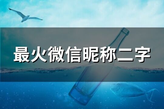 最火微信昵称二字(共145个)