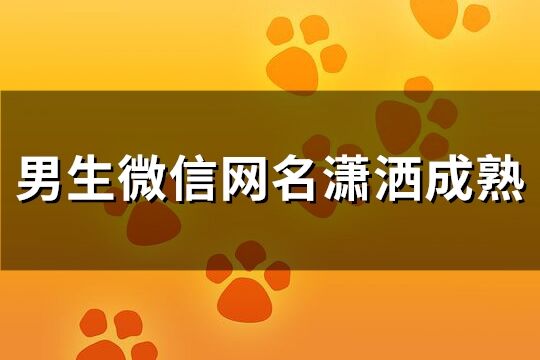 男生微信网名潇洒成熟(108个)