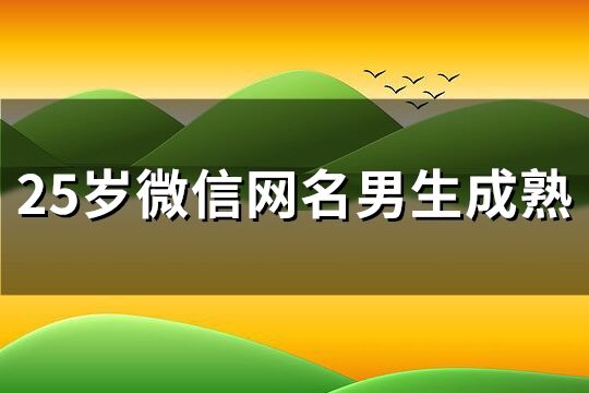 25岁微信网名男生成熟(174个)