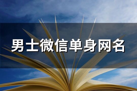 男士微信单身网名(优选163个)