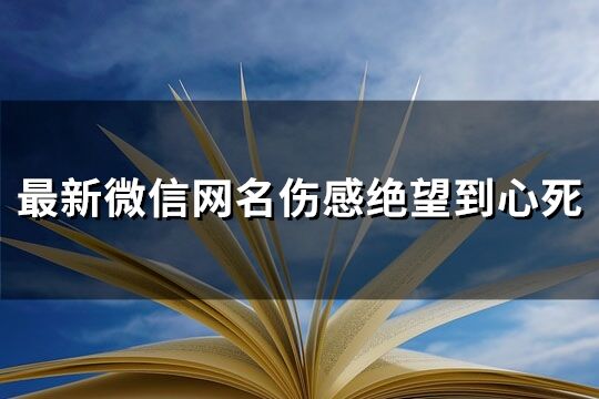 最新微信网名伤感绝望到心死(优选305个)