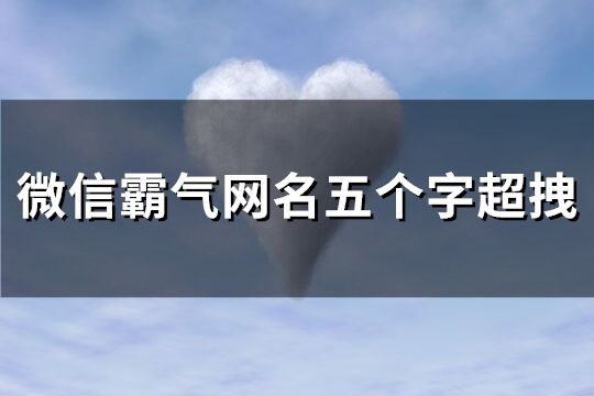 微信霸气网名五个字超拽(共286个)