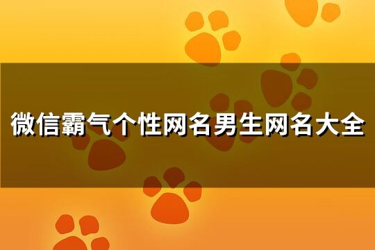 微信霸气个性网名男生网名大全(共137个)