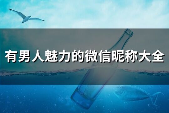 有男人魅力的微信昵称大全(优选237个)