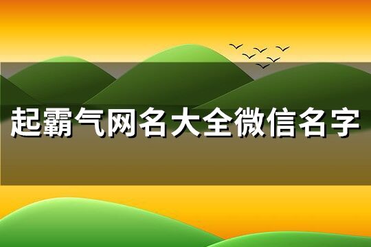 起霸气网名大全微信名字(176个)