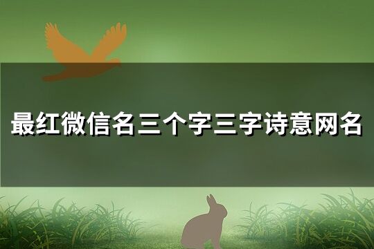 最红微信名三个字三字诗意网名(优选206个)