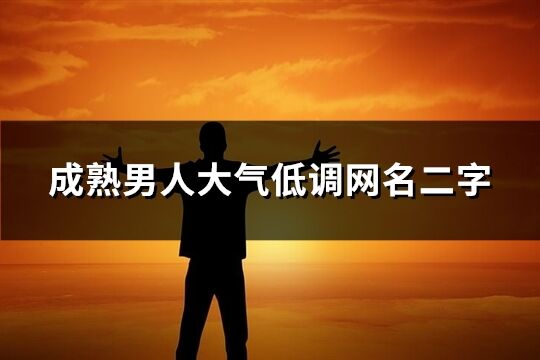 成熟男人大气低调网名二字(共130个)