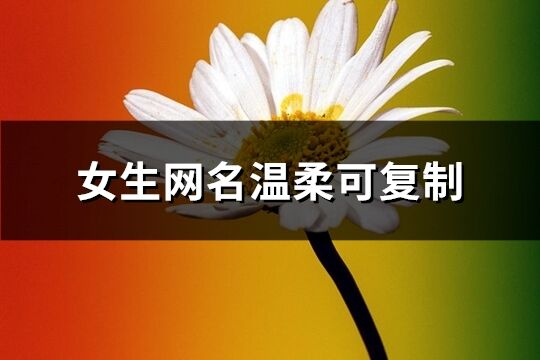 女生网名温柔可复制(优选244个)