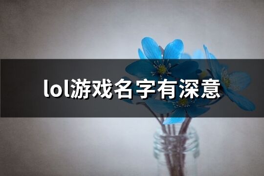 lol游戏名字有深意(共152个)