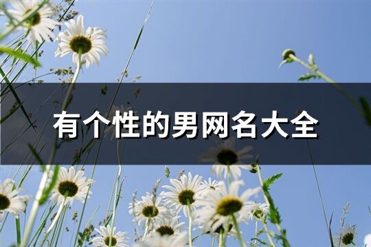 有个性的男网名大全(283个)