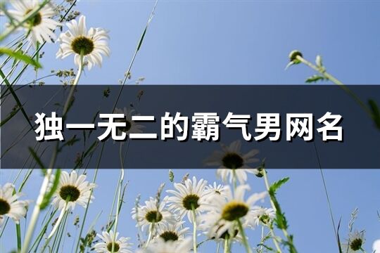 独一无二的霸气男网名(212个)