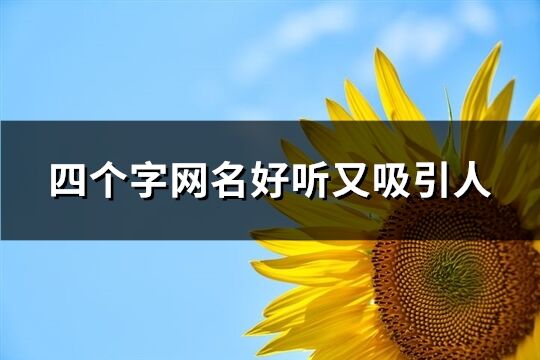 四个字网名好听又吸引人(精选137个)