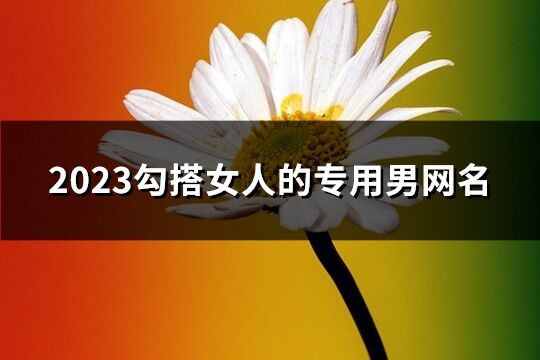 2023勾搭女人的专用男网名(317个)