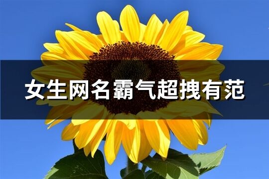 女生网名霸气超拽有范(共141个)