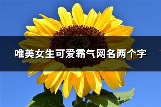 唯美女生可爱霸气网名两个字(285个)