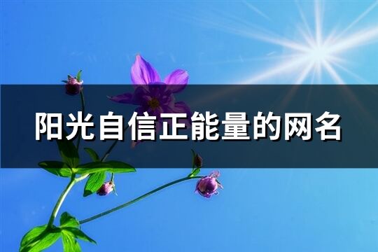 阳光自信正能量的网名(101个)