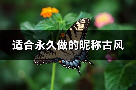 适合永久做的昵称古风(优选290个)