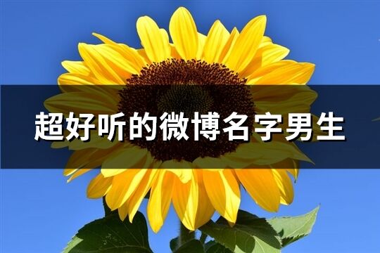 超好听的微博名字男生(223个)