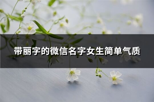 带丽字的微信名字女生简单气质(162个)