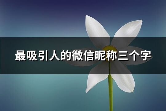 最吸引人的微信昵称三个字(精选234个)