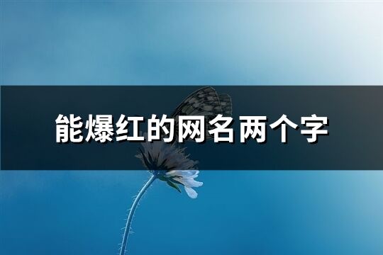 能爆红的网名两个字(精选314个)