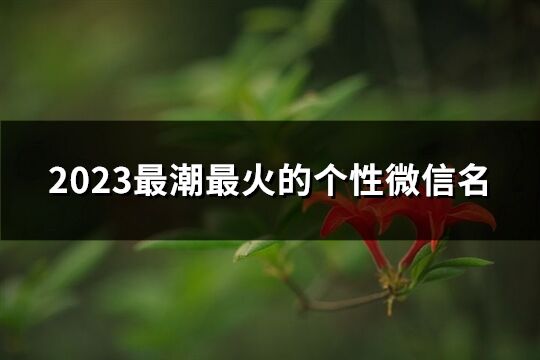 2023最潮最火的个性微信名(精选137个)