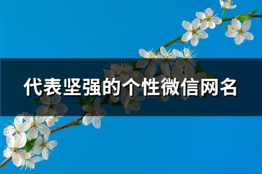 代表坚强的个性微信网名(优选286个)