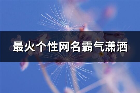 最火个性网名霸气潇洒(320个)