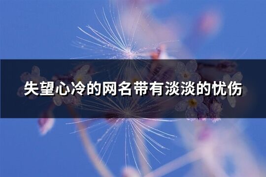 失望心冷的网名带有淡淡的忧伤(精选73个)