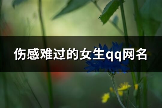 伤感难过的女生qq网名(精选227个)