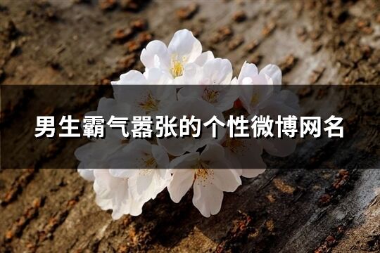 男生霸气嚣张的个性微博网名(精选133个)