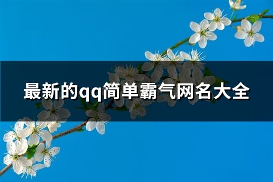 最新的qq简单霸气网名大全(202个)