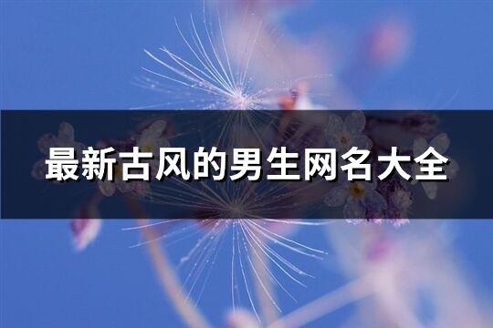 最新古风的男生网名大全(优选133个)