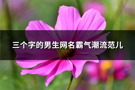 三个字的男生网名霸气潮流范儿(精选123个)