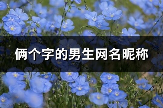 俩个字的男生网名昵称(精选126个)