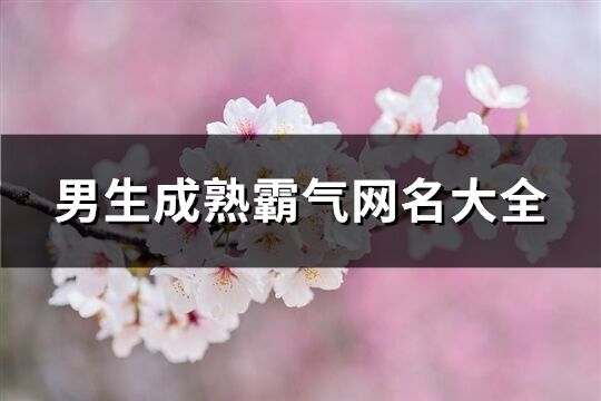 男生成熟霸气网名大全(精选127个)