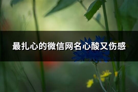 最扎心的微信网名心酸又伤感(优选296个)